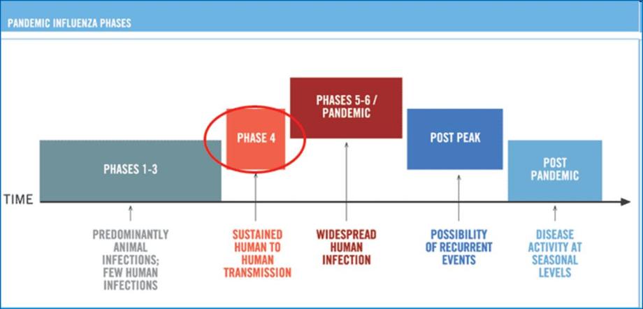 who_pandemic-chart who_pandemic-chart